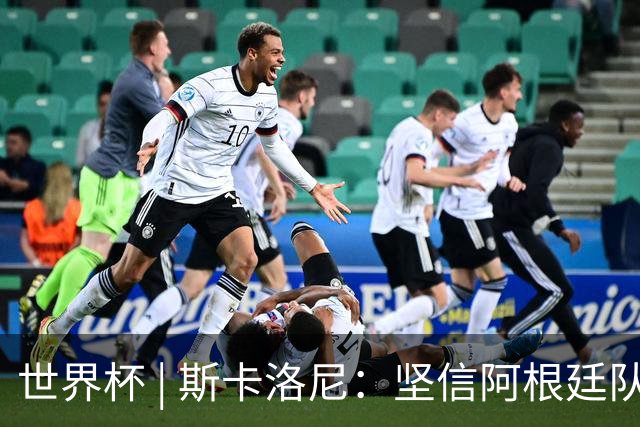 世界杯 | 斯卡洛尼：坚信阿根廷队会逆转
