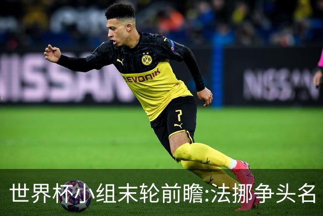 世界杯小组末轮前瞻:法挪争头名 西班牙仍不稳