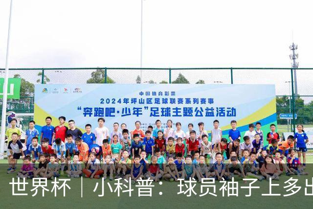 世界杯｜小科普：球员袖子上多出来的标识是什么