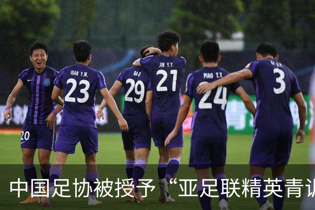 中国足协被授予“亚足联精英青训计划三星会员”资格