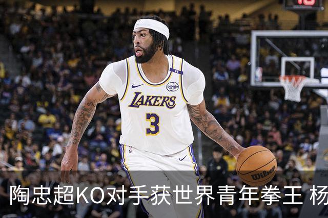 陶忠超KO对手获世界青年拳王 杨永强苦胜越老将