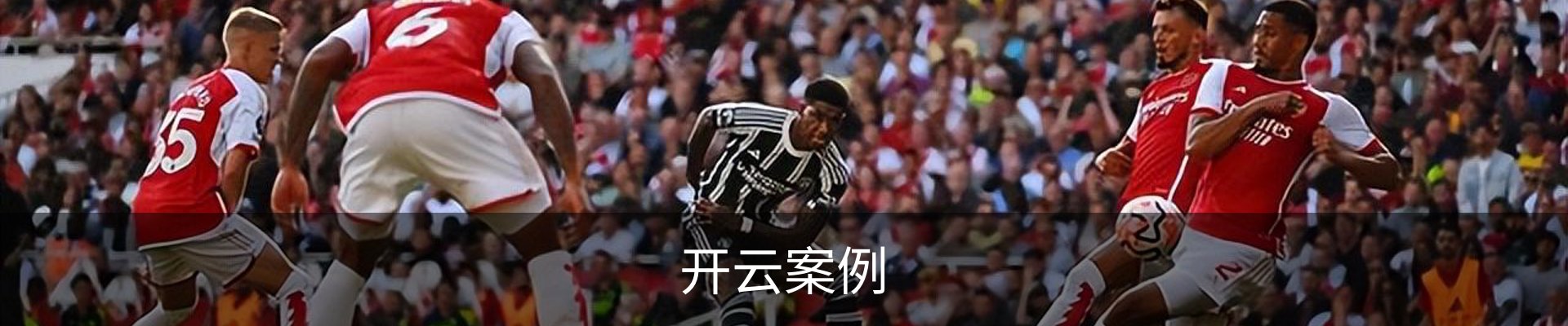 开云案例