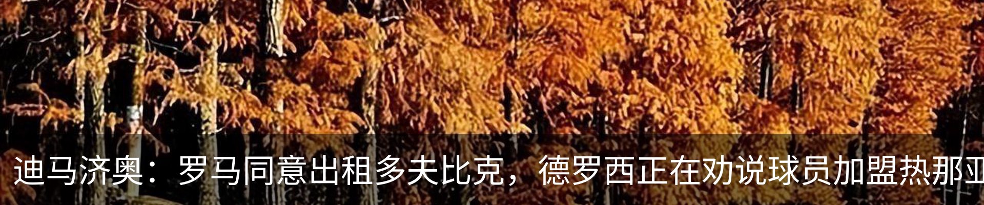 新闻中心