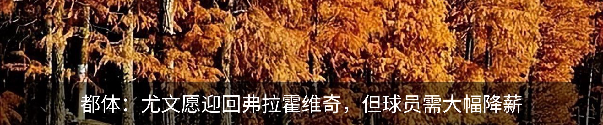 新闻中心